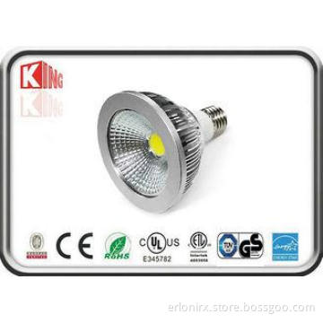 Profile Aluminum LED Par Spotlight PAR30 10W COB 900~1100LM
